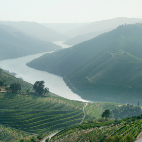 Niepoort Masterclass