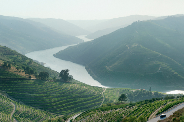 Niepoort Masterclass