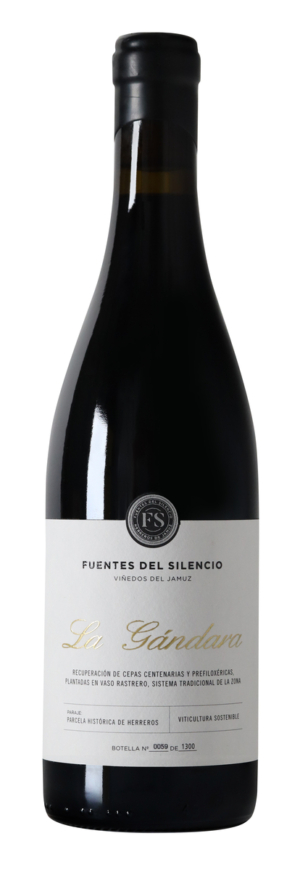 Fuentes del Silencio La Gandara