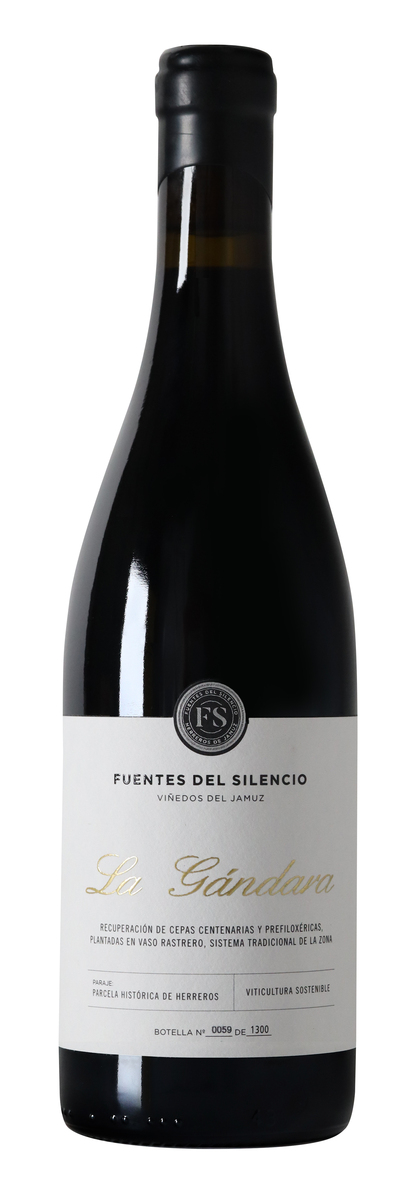 Fuentes del Silencio La Gandara