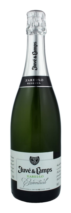 Juvé y Camps Essential Xarel·lo Brut