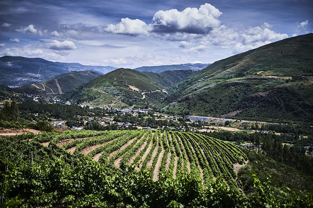 Vinmarker i A Malosa Valdeorras Galicia Virgen del Galir
