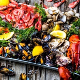 De beste vinene til skalldyr