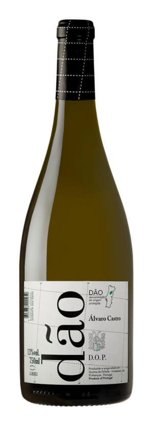 Alvaro Castro Dão Branco