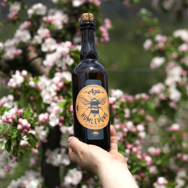 Humplepung Sider fra Aga Sideri i Hardanger