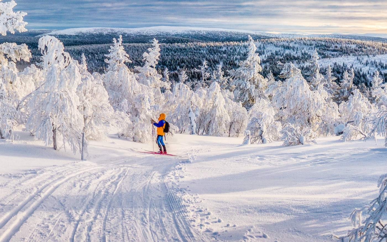 Påskens beste viner