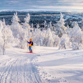 Påskens beste viner