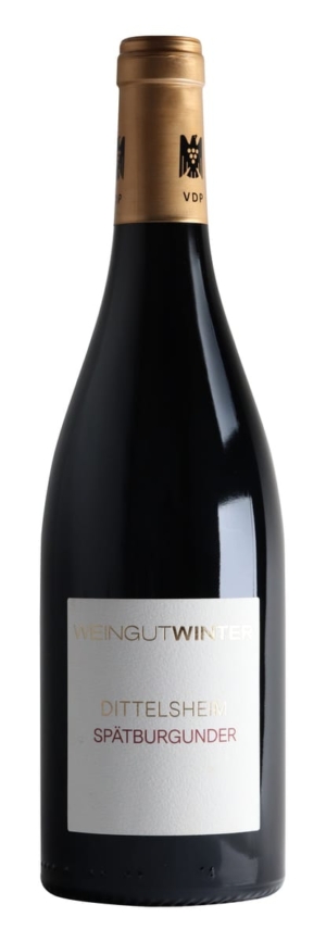 Winter Dittelsheim Spätburgunder