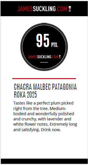 Chacra Malbec Patagonia Roka 2025
