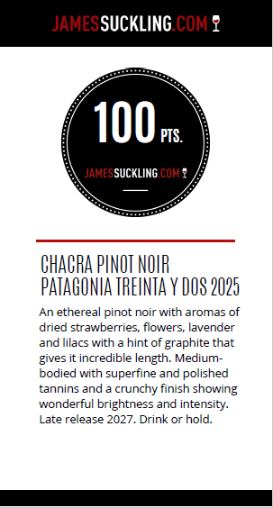 Bodega Chacra Treinta Y Dos PN 2025 100/100 poeng