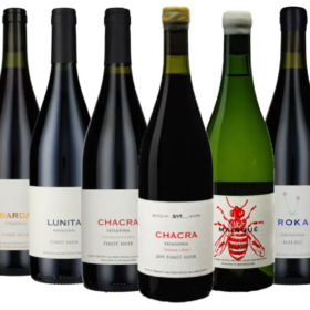 Bodega Chacra med 100 poeng for siste årgang